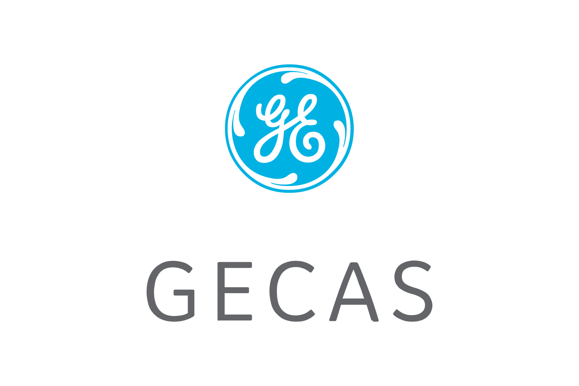 GE_Capital_Aviation_Services-Logo.wine_