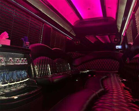 sprinter-limousine-interior-2-480x383